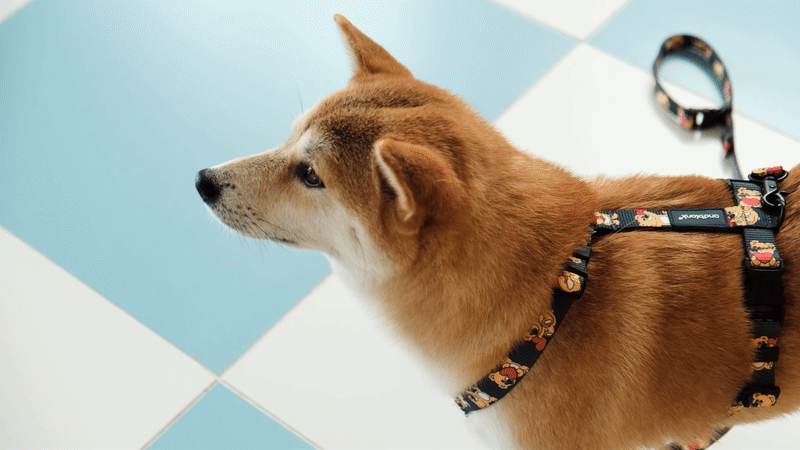 andblank Joy Bear Pet Harness - Midnight Blue - CreatureLand