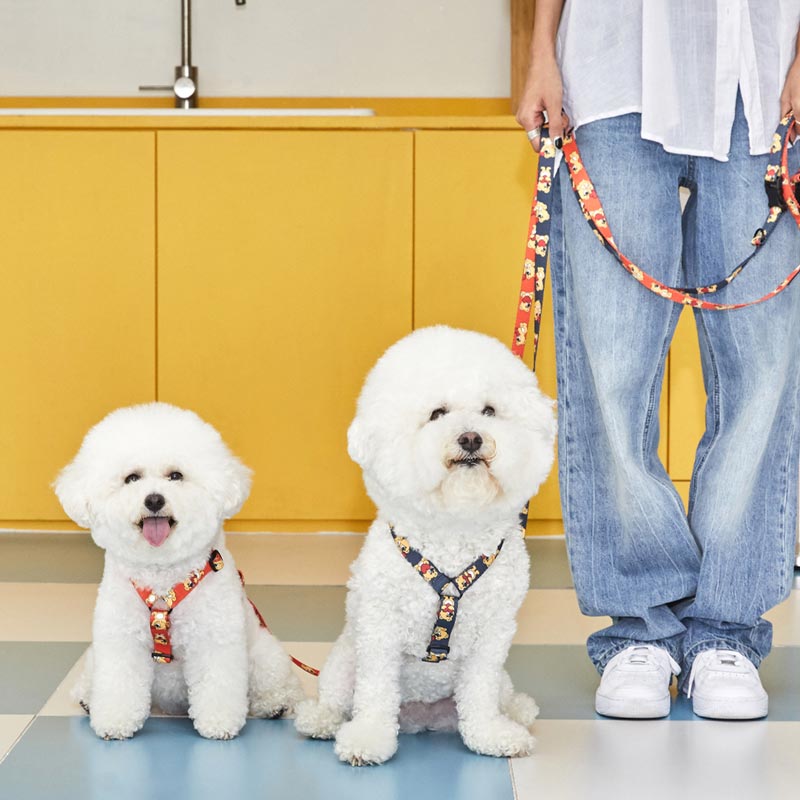 andblank Joy Bear Pet Harness - Midnight Blue - CreatureLand