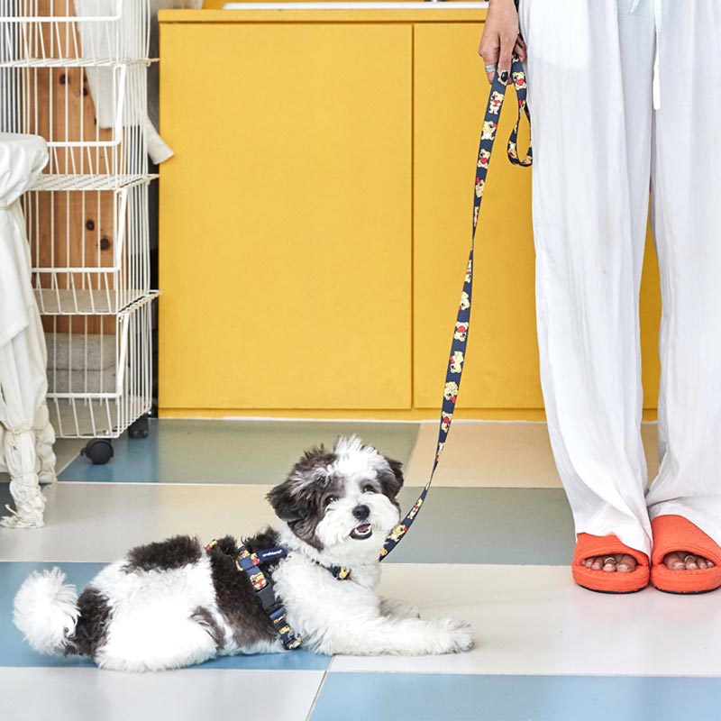 andblank Joy Bear Pet Harness - Midnight Blue - CreatureLand