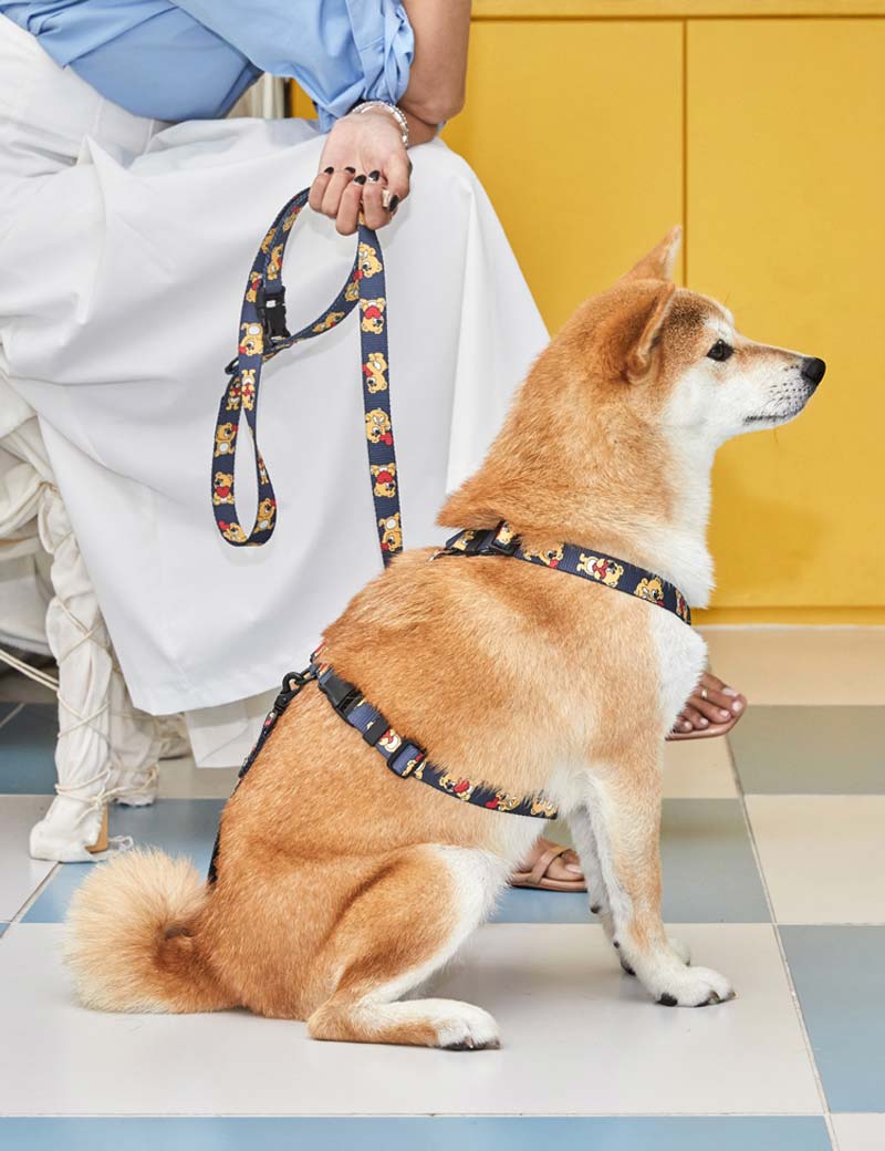 andblank Joy Bear Pet Harness - Midnight Blue - CreatureLand