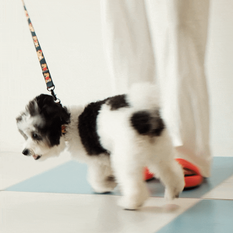 andblank Joy Bear Pet Leash - Midnight Blue - CreatureLand