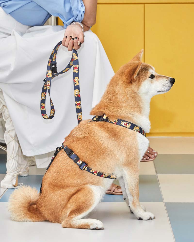 andblank Joy Bear Pet Leash - Midnight Blue - CreatureLand