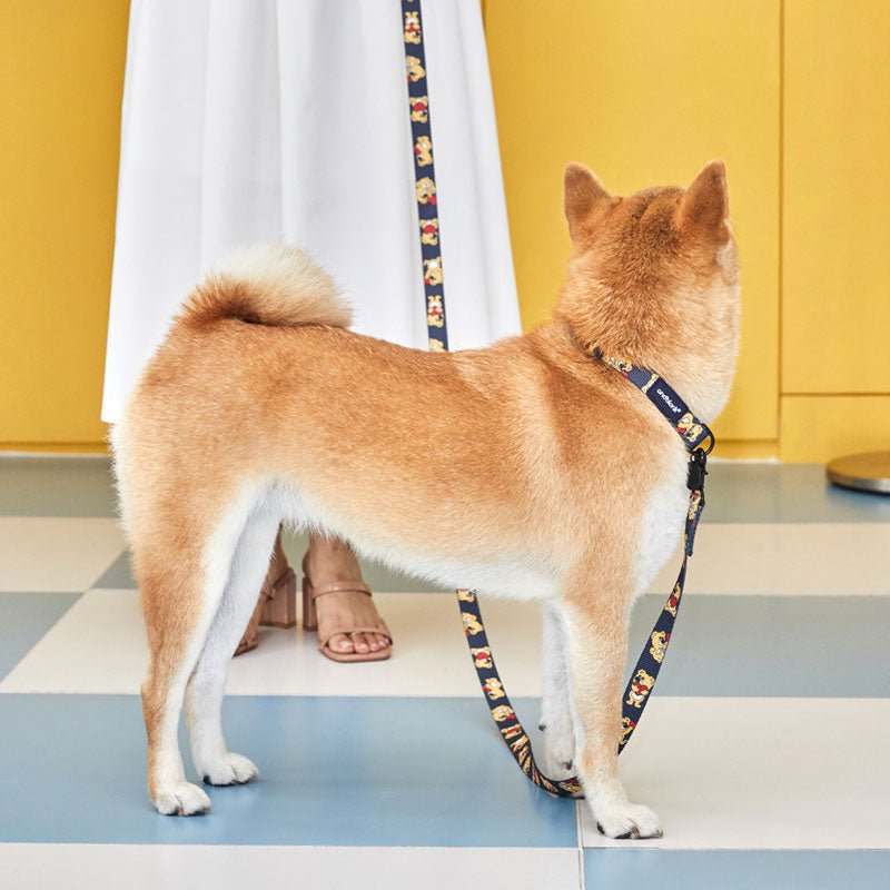 andblank Joy Bear Pet Leash - Midnight Blue - CreatureLand