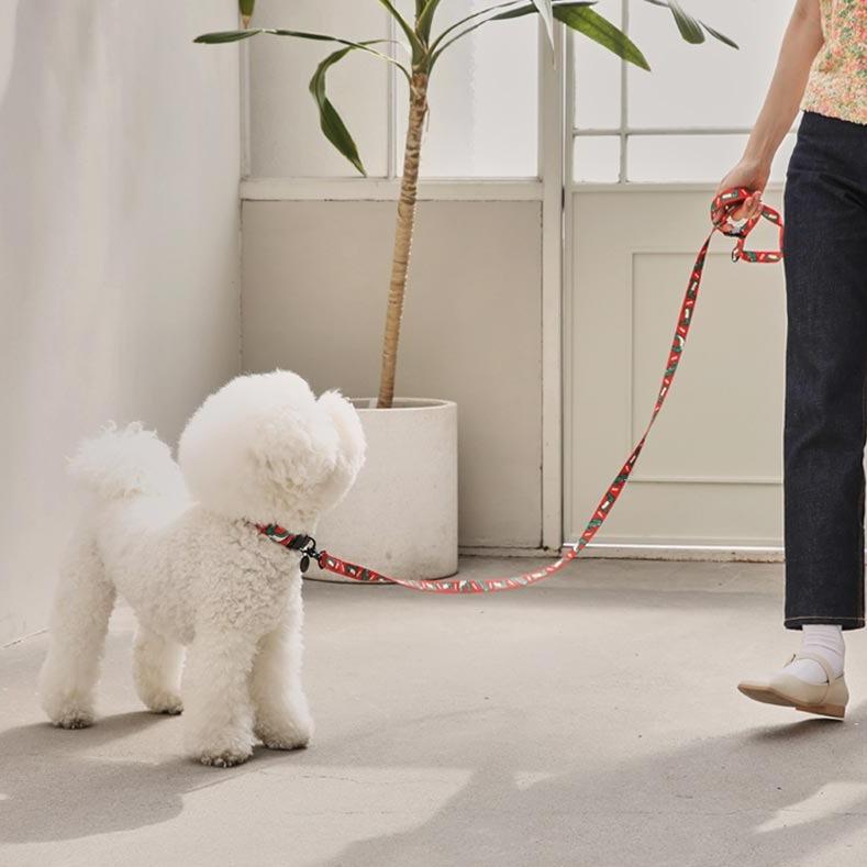 andblank Lazy Crocodile Pet Collar - Tangerine - CreatureLand