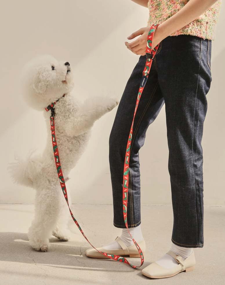 andblank Lazy Crocodile Pet Collar - Tangerine - CreatureLand