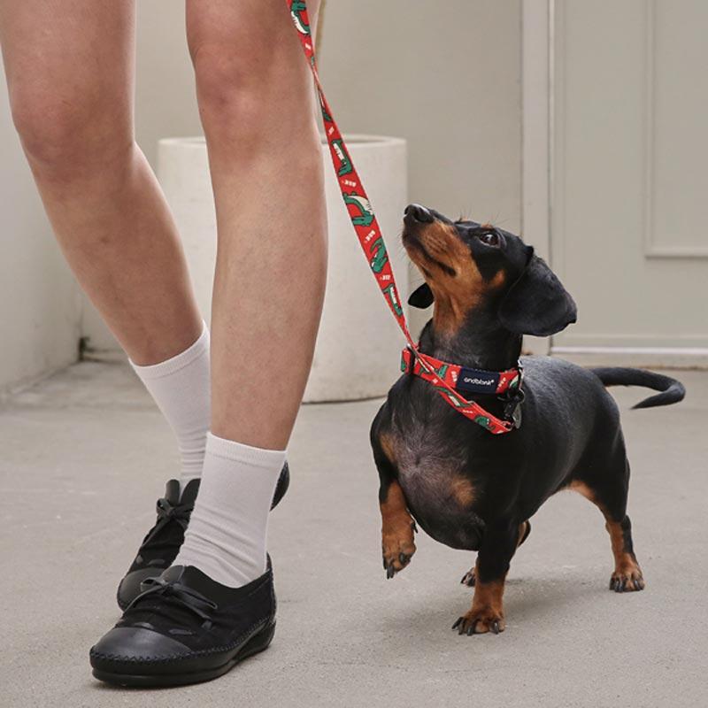 andblank Lazy Crocodile Pet Collar - Tangerine - CreatureLand