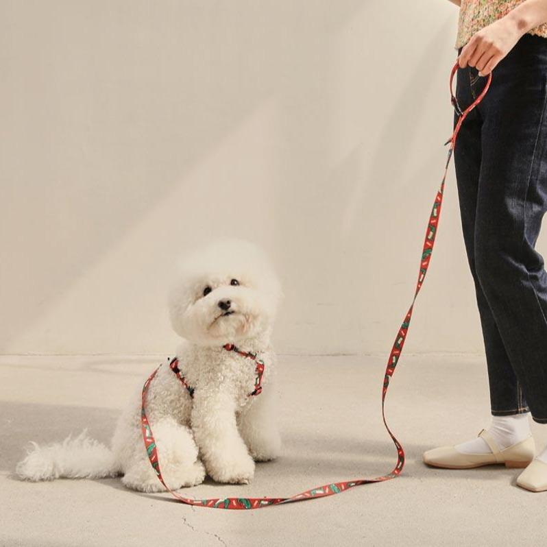 andblank Lazy Crocodile Pet Harness - Tangerine - CreatureLand