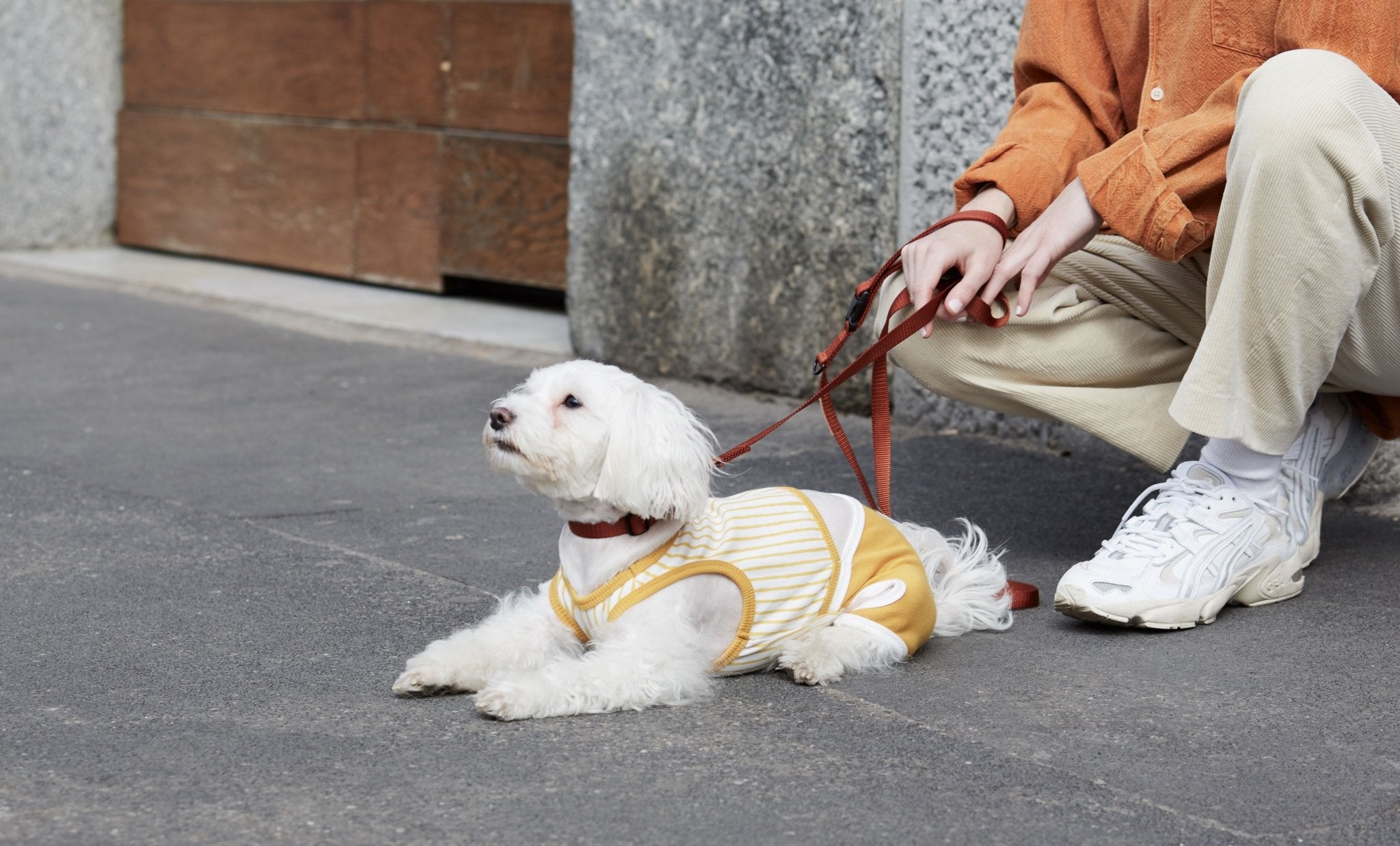 andblank Pet Carrier - Camel - CreatureLand