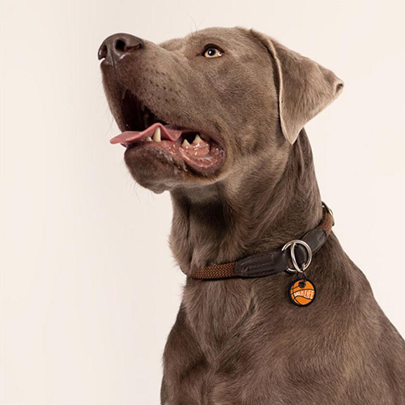 another DOG BRAND Dog Tag - Ball Is Life - CreatureLand