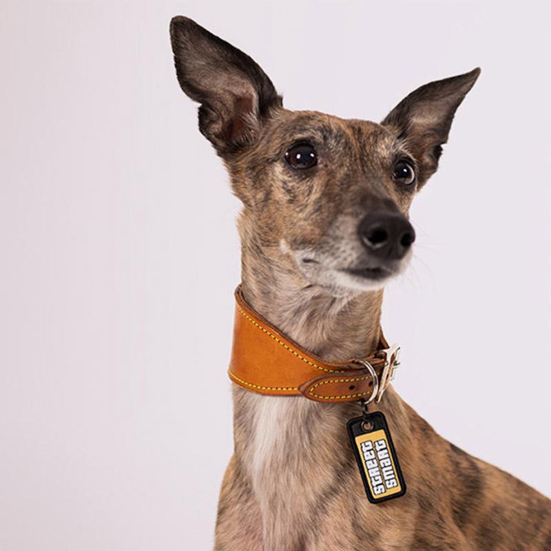 another DOG BRAND Dog Tag - Street Smart - CreatureLand