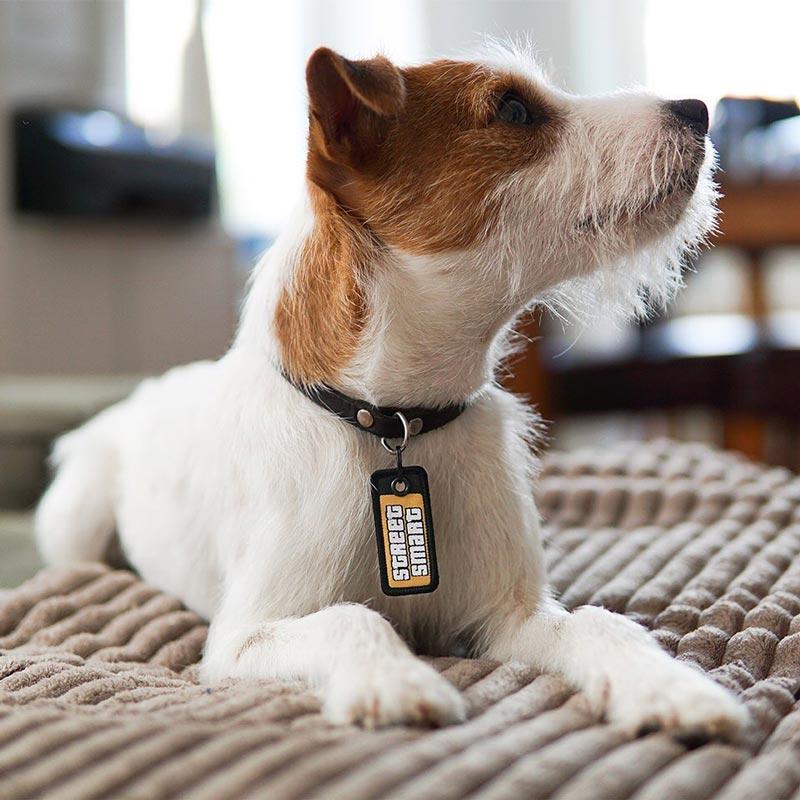 another DOG BRAND Dog Tag - Street Smart - CreatureLand