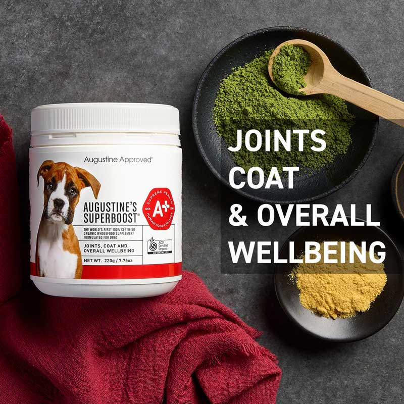 Augustine Approved Augustine’s SuperBoost Certified Organic Supplement For Dogs and Cats - CreatureLand