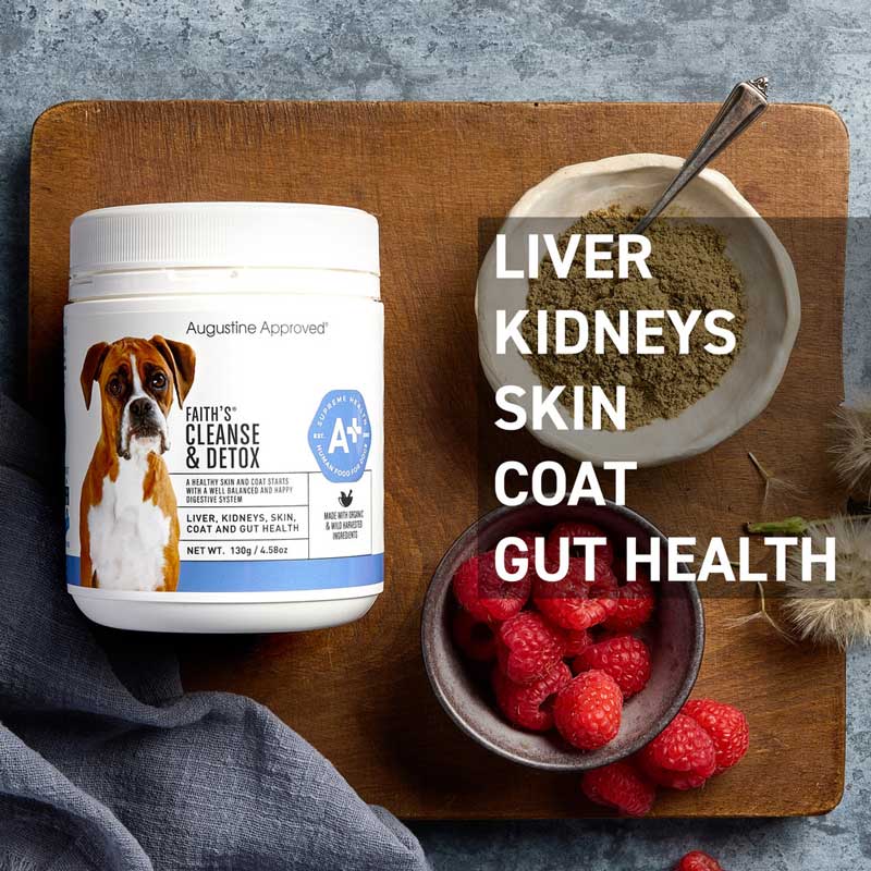 Augustine Approved Faith's Cleanse & Detox For Dogs and Cats - CreatureLand