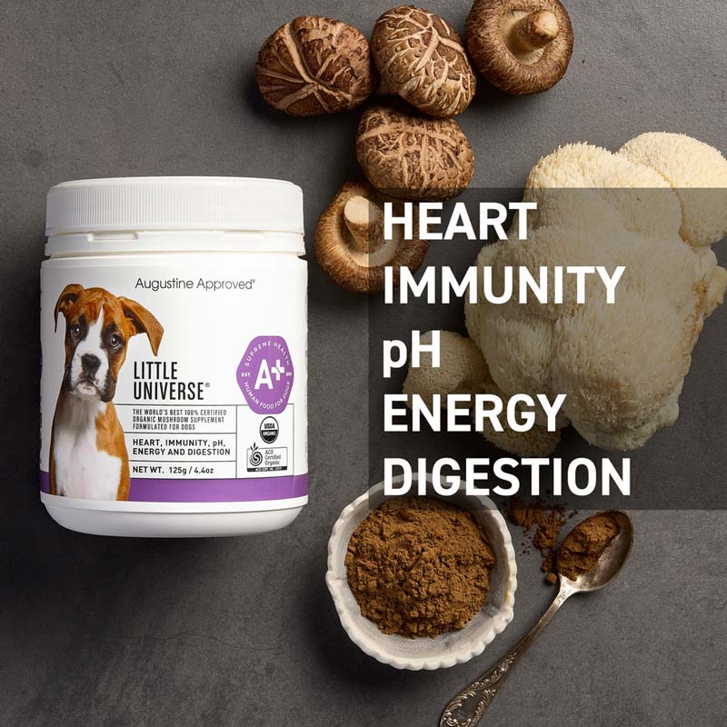 Augustine Approved Little Universe (Organic Mushroom) For Dogs & Cats - CreatureLand