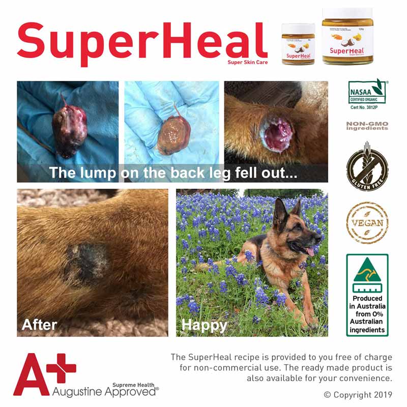 Augustine Approved SuperHeal - CreatureLand