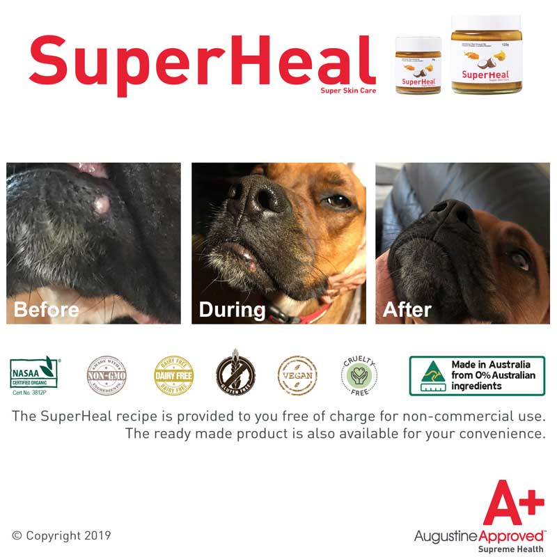 Augustine Approved SuperHeal - CreatureLand