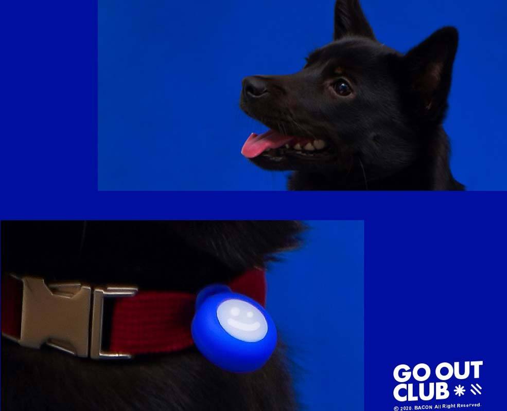 BACON Go Out Club LED Walking Light - CreatureLand