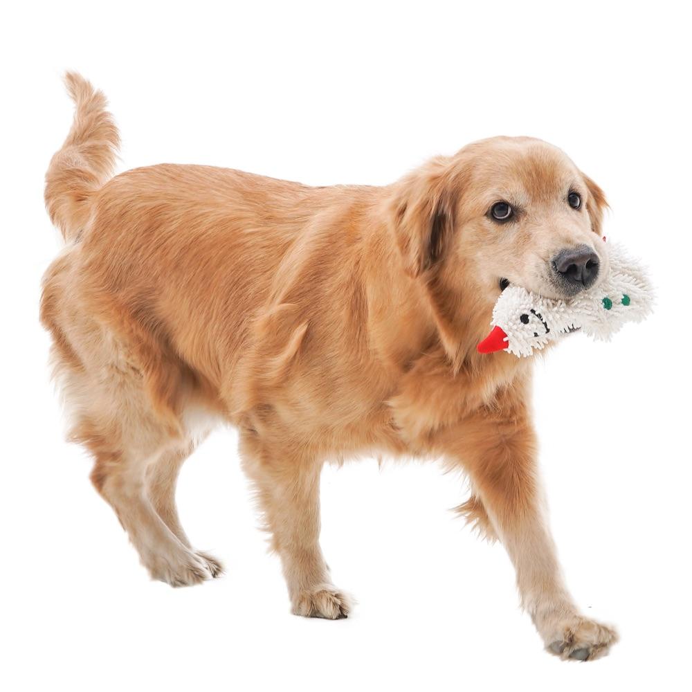 BACON Snowman Dog Toy - CreatureLand