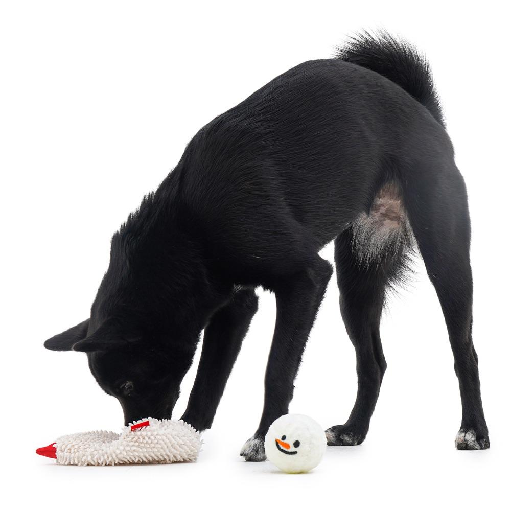 BACON Snowman Dog Toy - CreatureLand