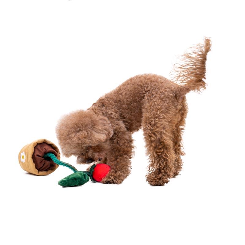 BACON Strawberry Tug Toy - CreatureLand