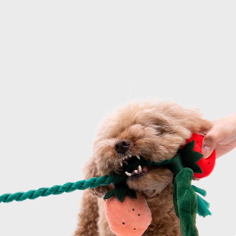 BACON Strawberry Tug Toy - CreatureLand