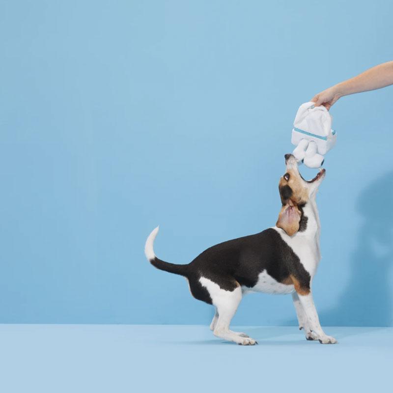 BARK Airpawds Dog Toy - CreatureLand