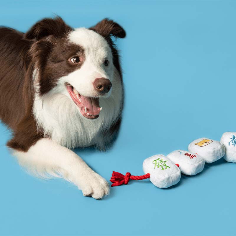 BARK Dog-gone Mahjong Dog Toy - CreatureLand
