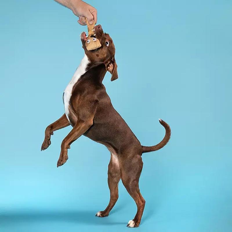 BARK Lick The Cook Dog Toy - CreatureLand
