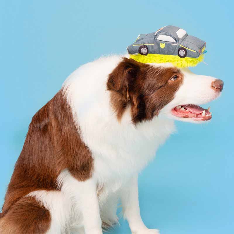 BARK Petaway Car Dog Toy - CreatureLand