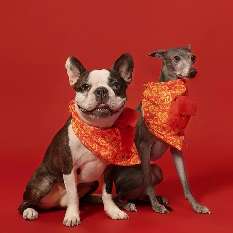 BARK Pocket Money Dog Toy with Bandana - CreatureLand