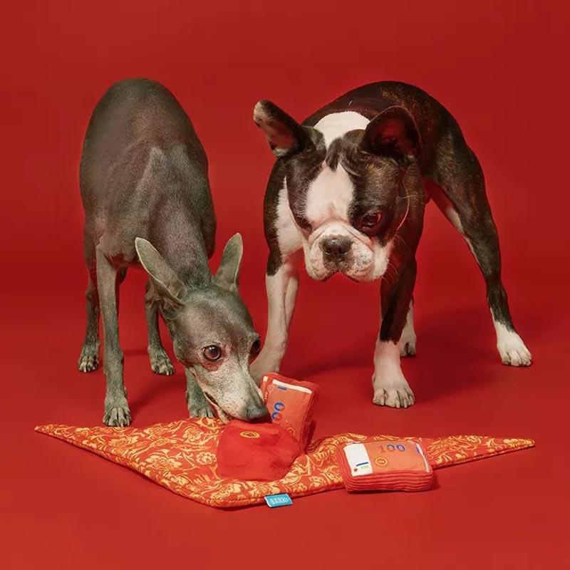 BARK Pocket Money Dog Toy with Bandana - CreatureLand
