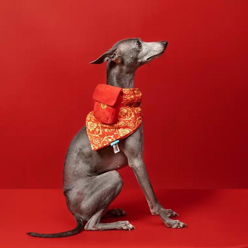 BARK Pocket Money Dog Toy with Bandana - CreatureLand