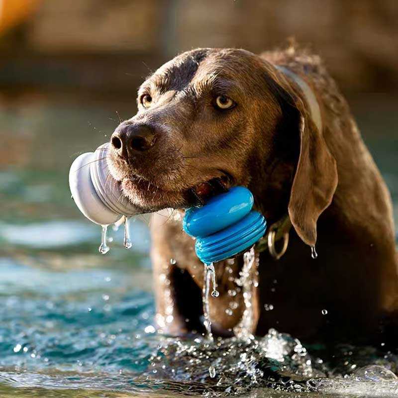 BARK Super Chewer: Swimming Pull Dog Toy - CreatureLand