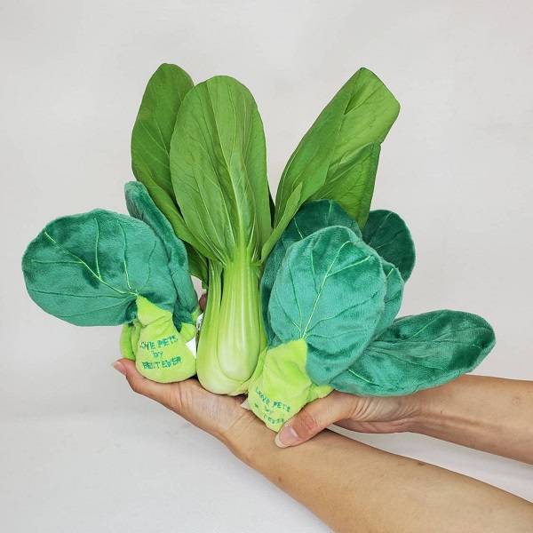 Bestever Ching Gen Sai Dog Toy - CreatureLand