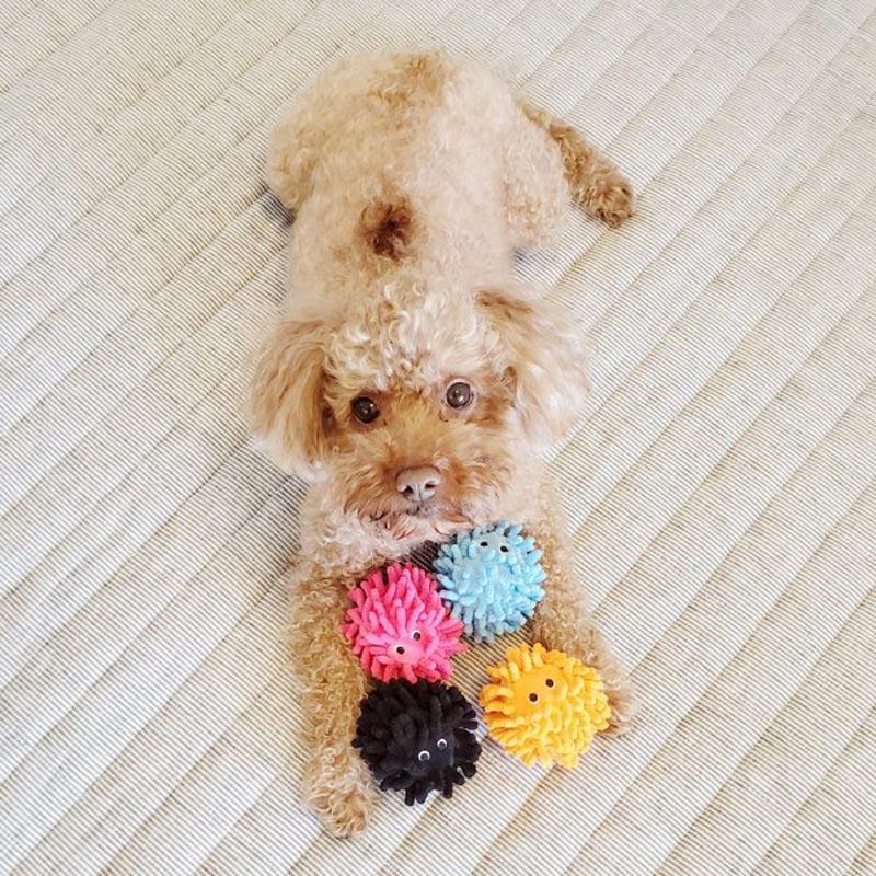 Bestever Uni Ball Dog Toy (4 Colours) - CreatureLand