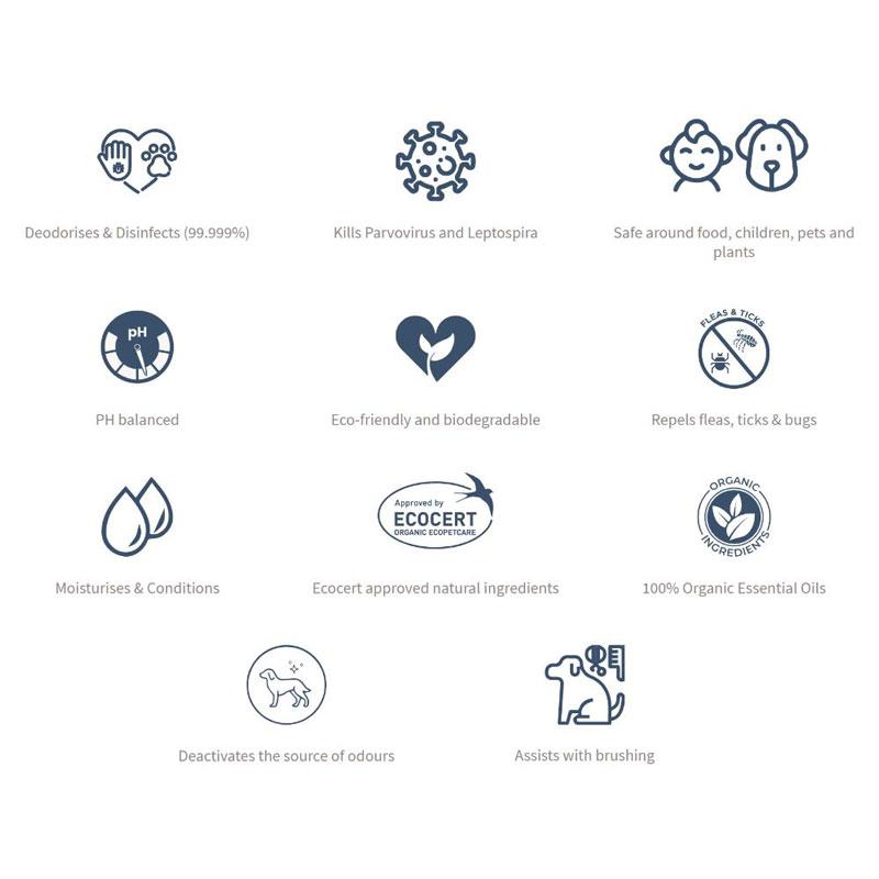 Beyond Clean Coat Refresher & Deodoriser - Catnip (250ml) - CreatureLand