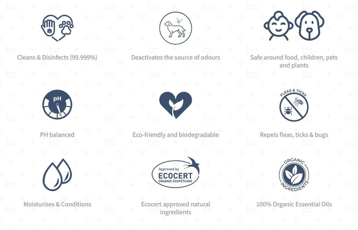 Beyond Clean LUXE Rinse-Free Paw Cleanser For Dogs & Cats - CreatureLand