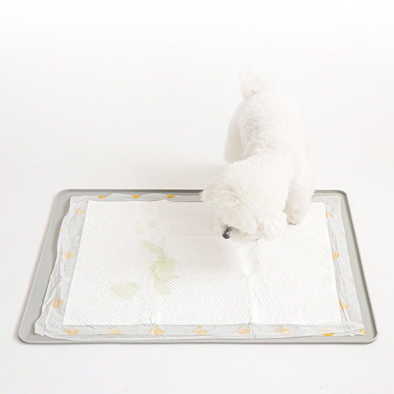 Bite Me Anti-Slip Silicone Pee Pad Mat (2 Colours) - CreatureLand