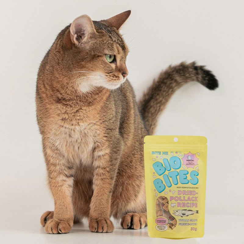 Bite Me Biobites Probiotic Treat | Immunity & Dental (2 Flavours) - CreatureLand