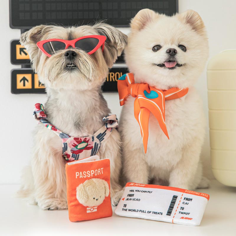Bite Me Bite Me x Jeju Air | Passport and Boarding Pass Nose Work Toy - CreatureLand