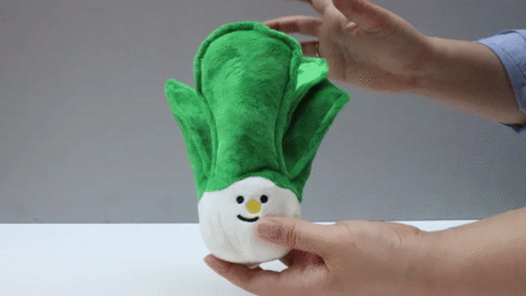 Bite Me Bok Choy Dog Toy - CreatureLand