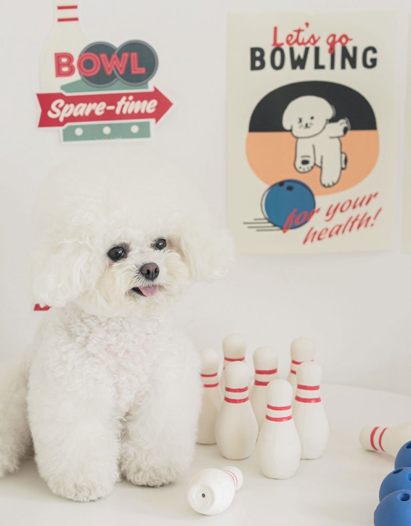 Bite Me Bowling Bowling Latex Dog Toy - CreatureLand