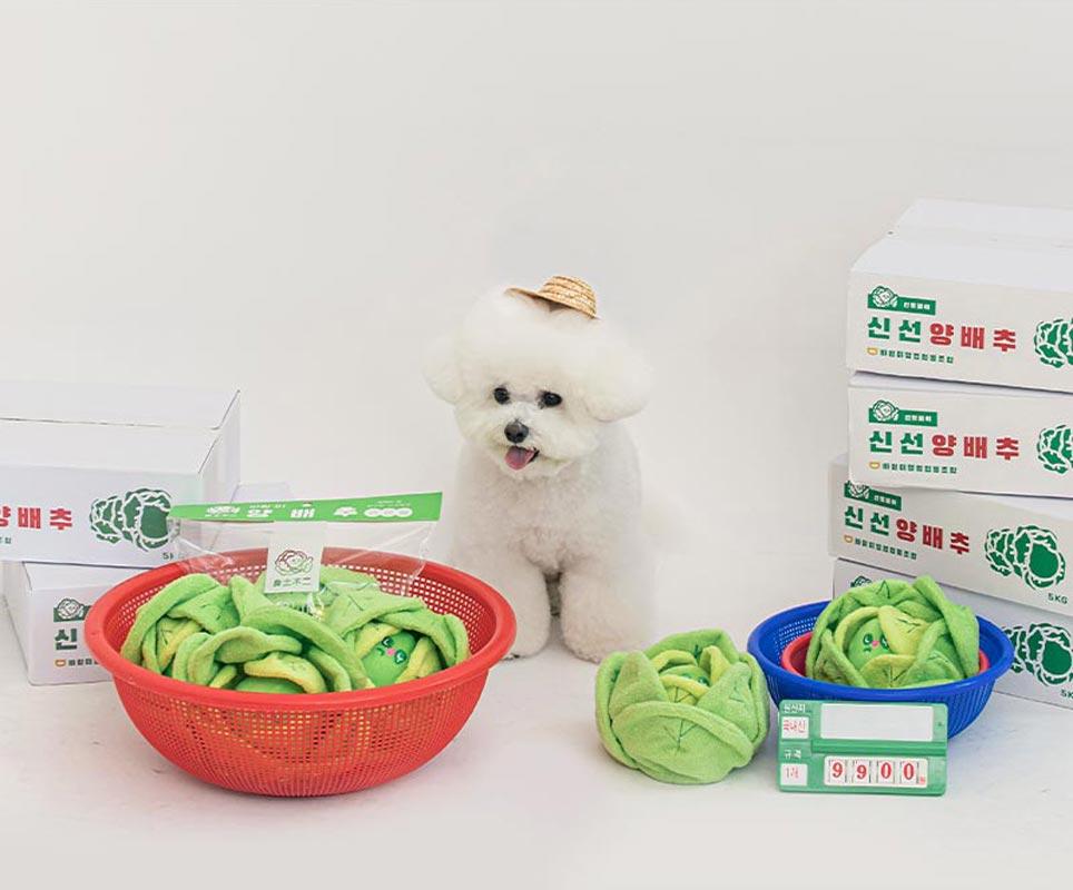 Bite Me Cabbage Nose Work Dog Toy - CreatureLand