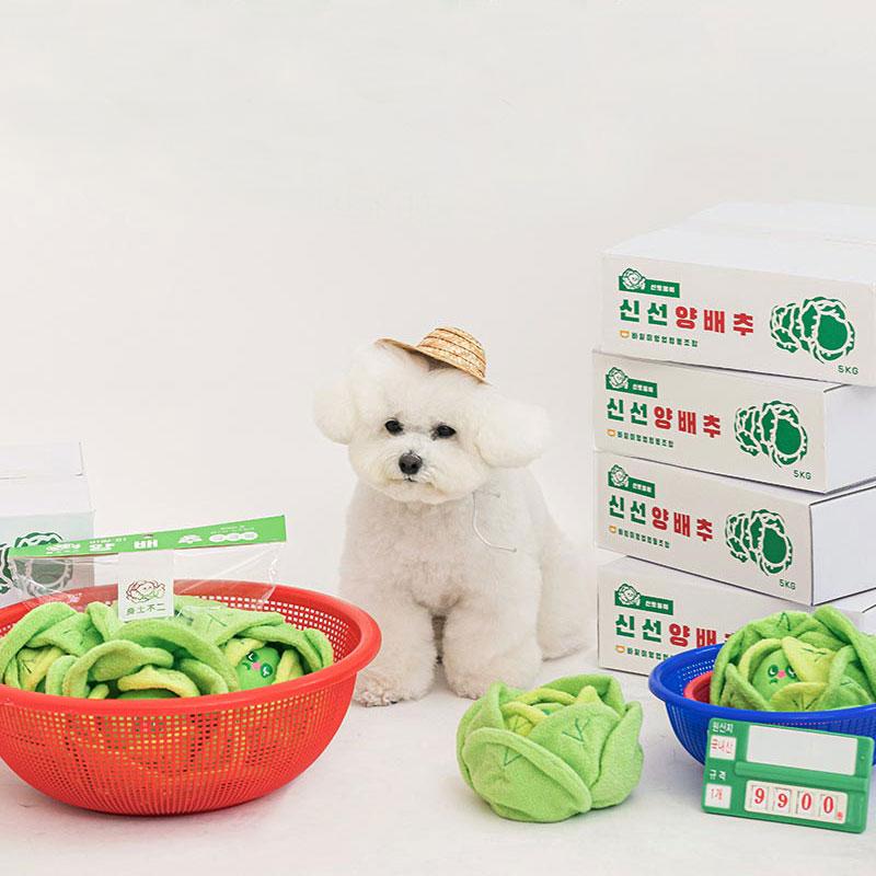 Bite Me Cabbage Nose Work Dog Toy - CreatureLand