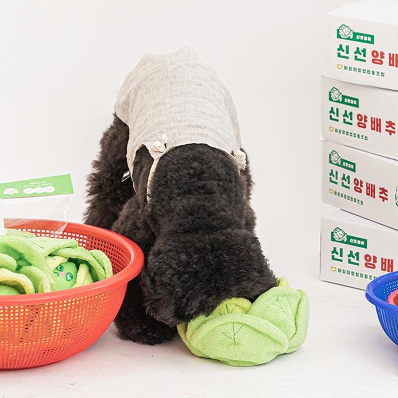 Bite Me Cabbage Nose Work Dog Toy - CreatureLand