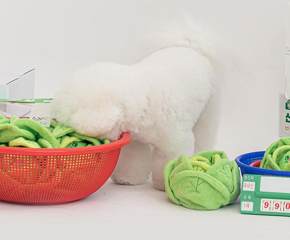 Bite Me Cabbage Nose Work Dog Toy - CreatureLand