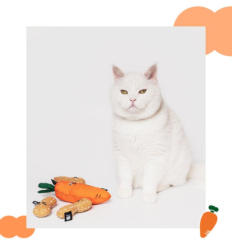 Bite Me Carrot Matatabi Cat Toy - CreatureLand