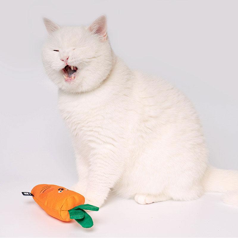 Bite Me Carrot Matatabi Cat Toy - CreatureLand