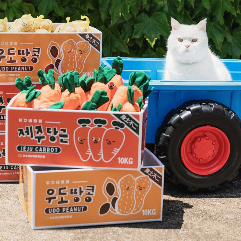 Bite Me Carrot Matatabi Cat Toy - CreatureLand