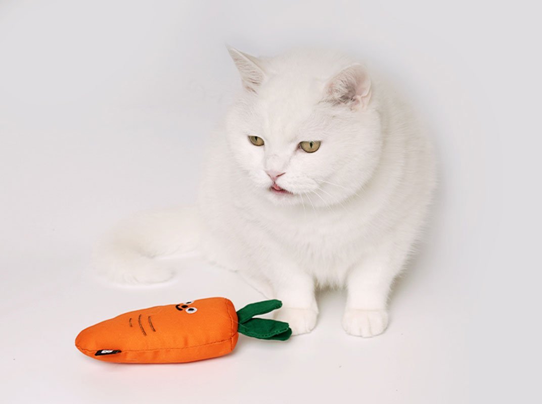 Bite Me Carrot Matatabi Cat Toy - CreatureLand